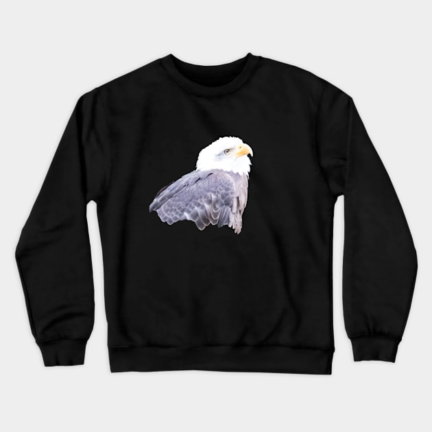 Baldeagle Crewneck Sweatshirt by Naturelovers